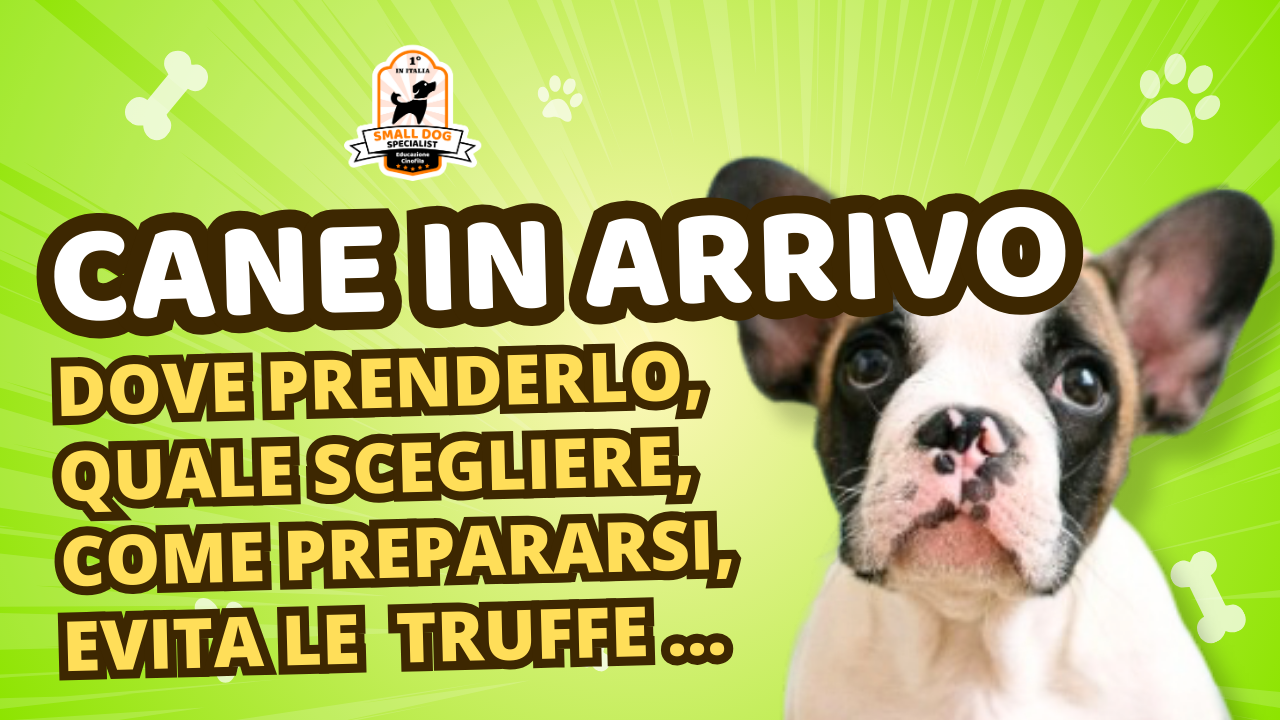 video corso consulenza pre adozione cane online