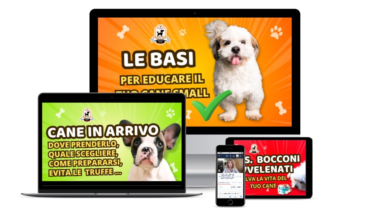 corso per cani di piccola tagli