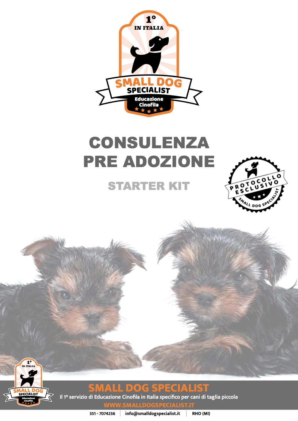 guida pre adozione cane