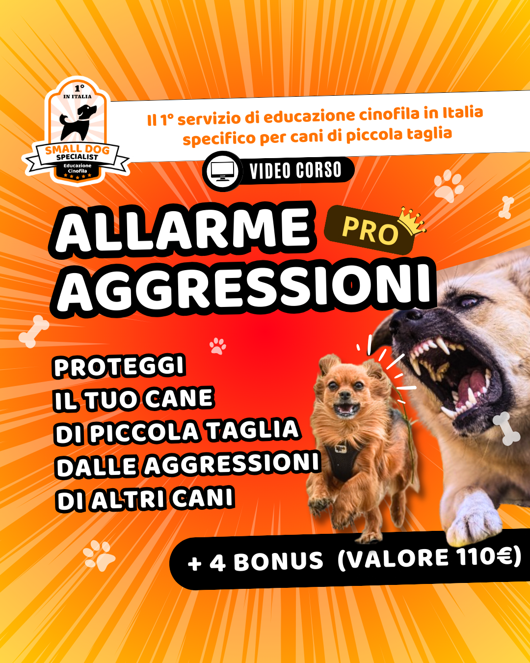 corso anti aggressione cane