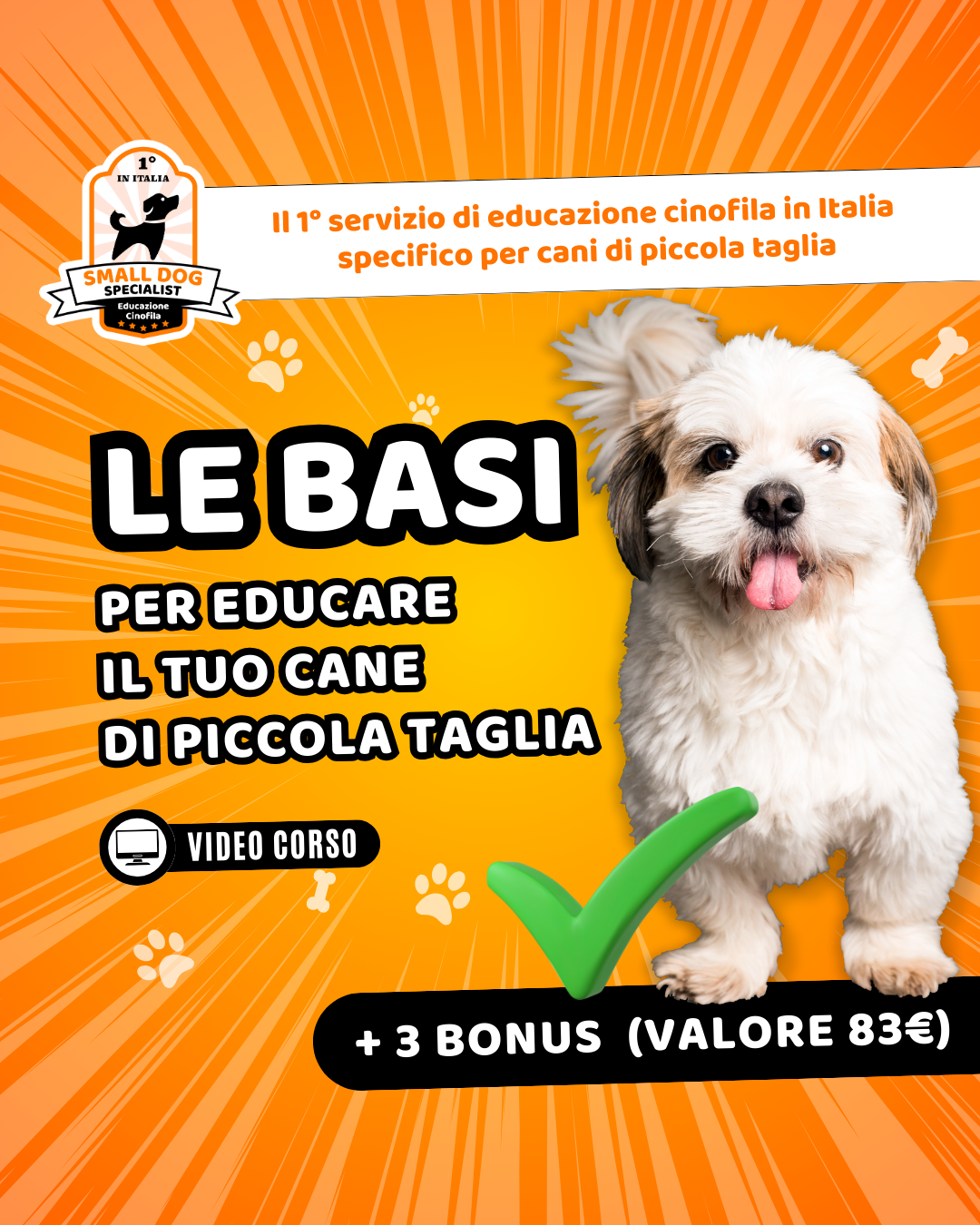 le basi educazione cane taglia piccola