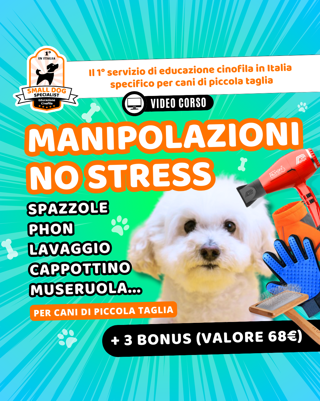 come abituare il cane alle manipolazioni