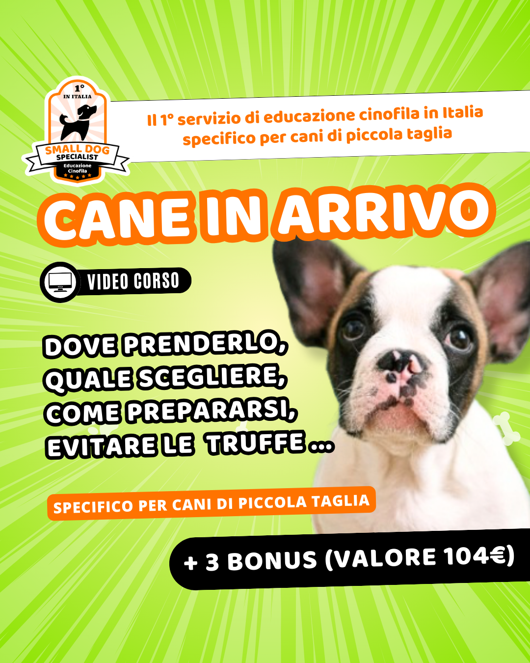 video corso consulenza pre adozione cane online