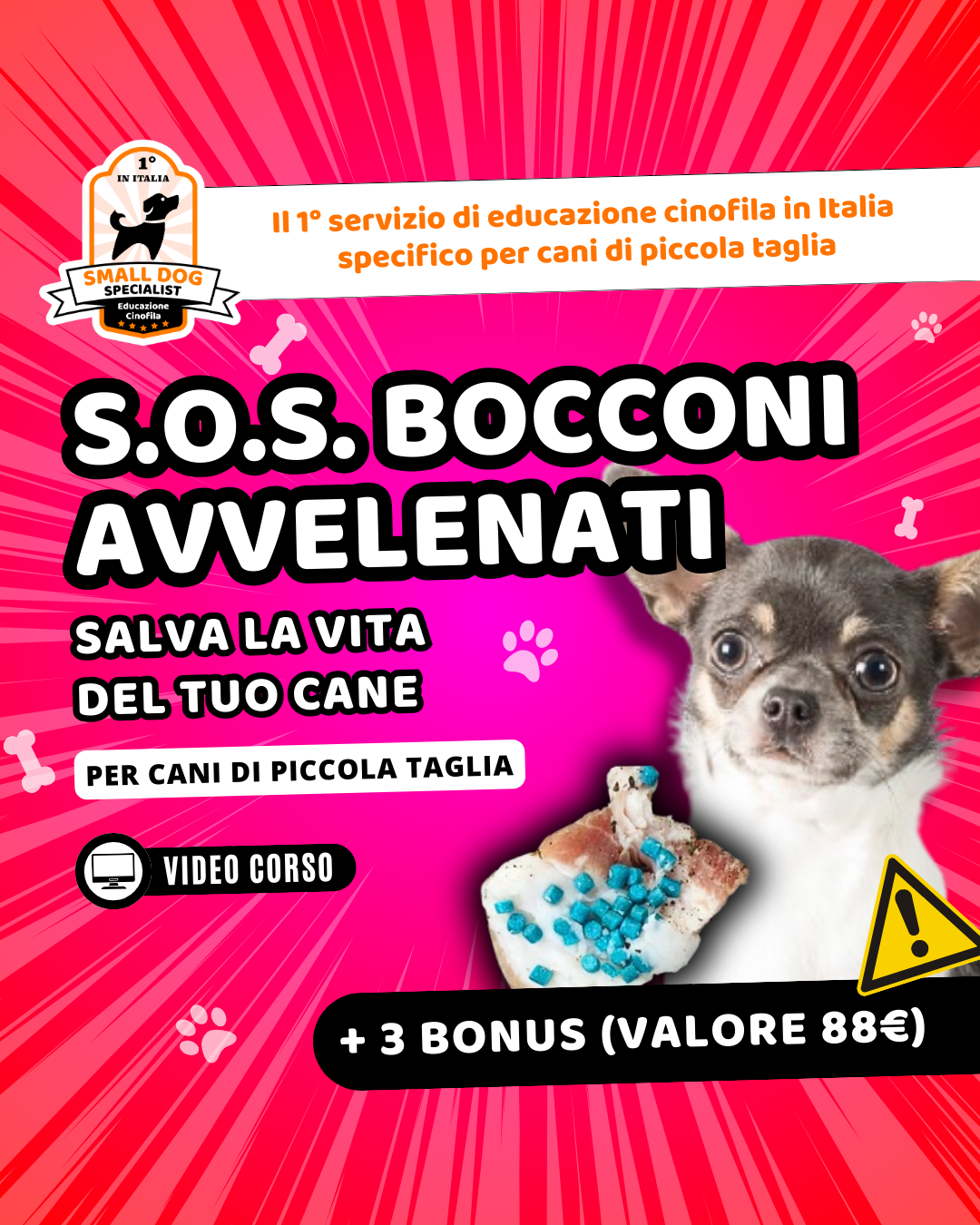 video corso anti avvelenamento cane