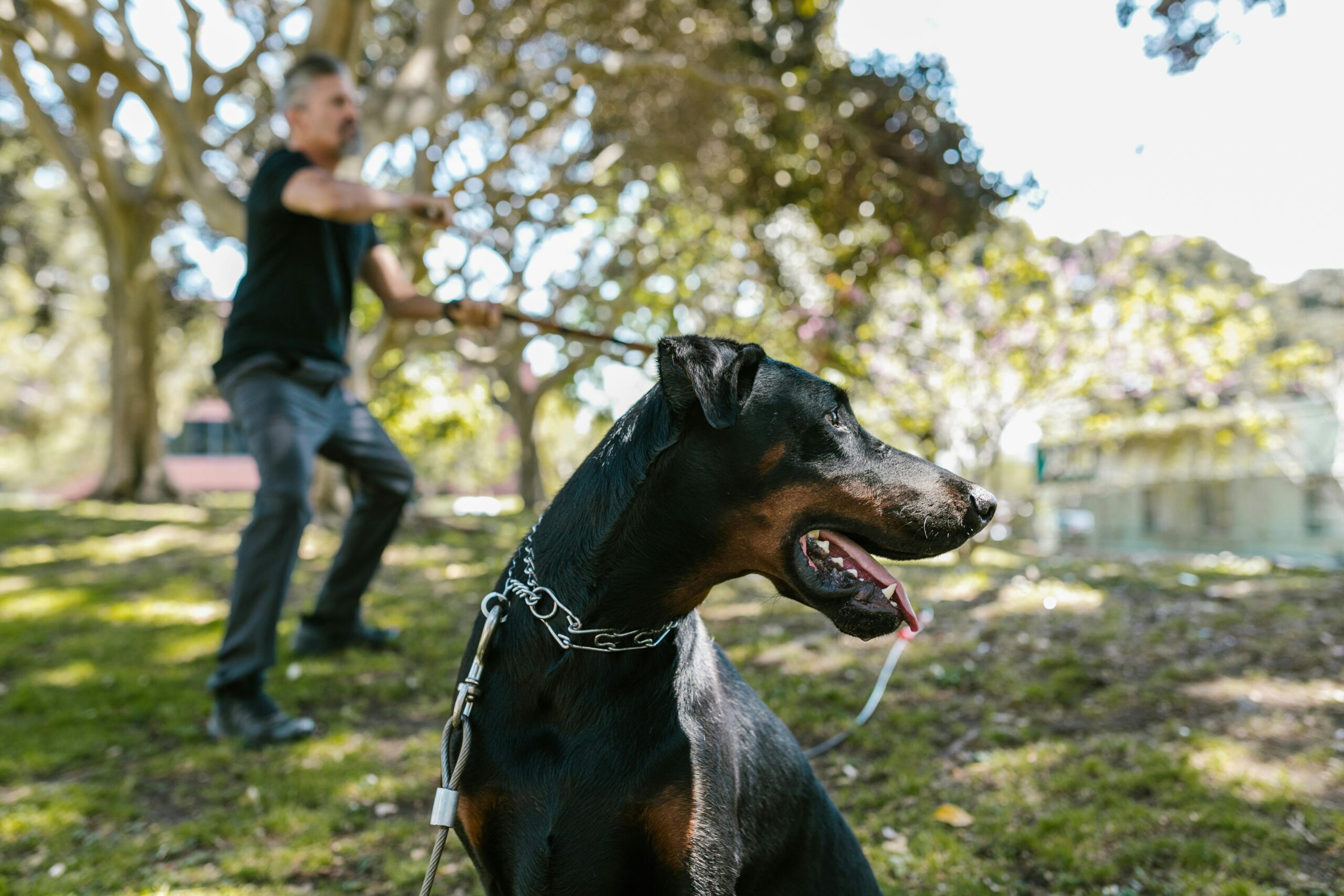 proprietario di cane aggressivo